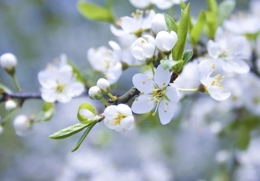 3寸转6寸气胀轴春风 3寸转6寸气胀轴春风